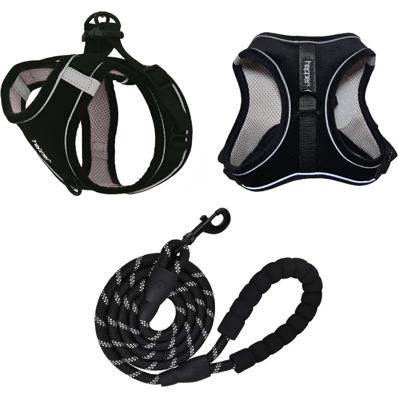 10 Best EscapeProof Cat Harnesses of 2024 Reviews & Top Picks Catster