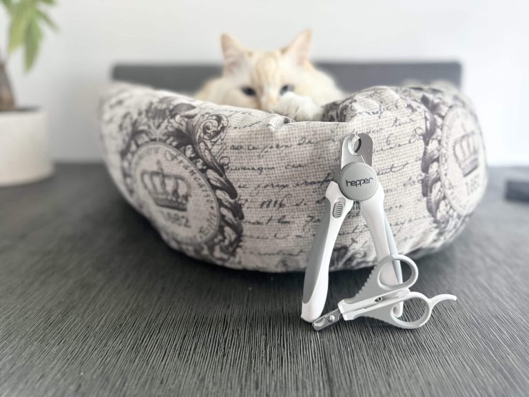 11 Best Cat Clippers 2024 Reviews & Top Picks Catster