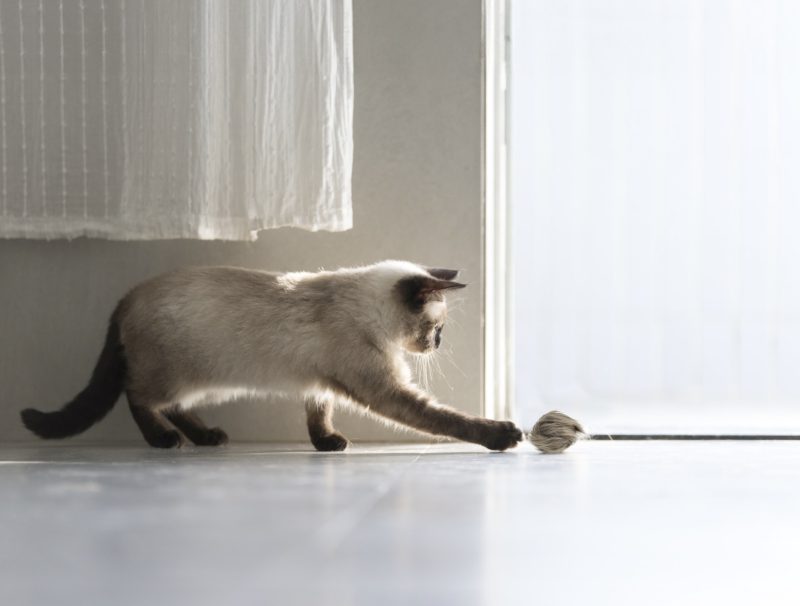 Hepper Furball Toy Set