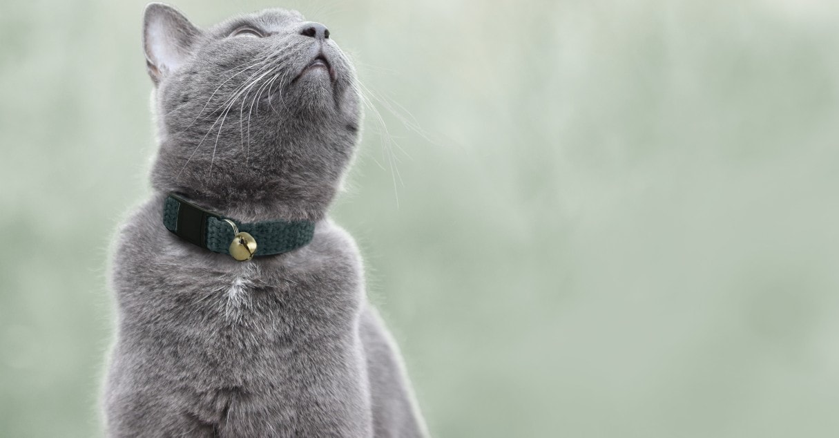 Hepper Hemp Breakaway Cat Collar