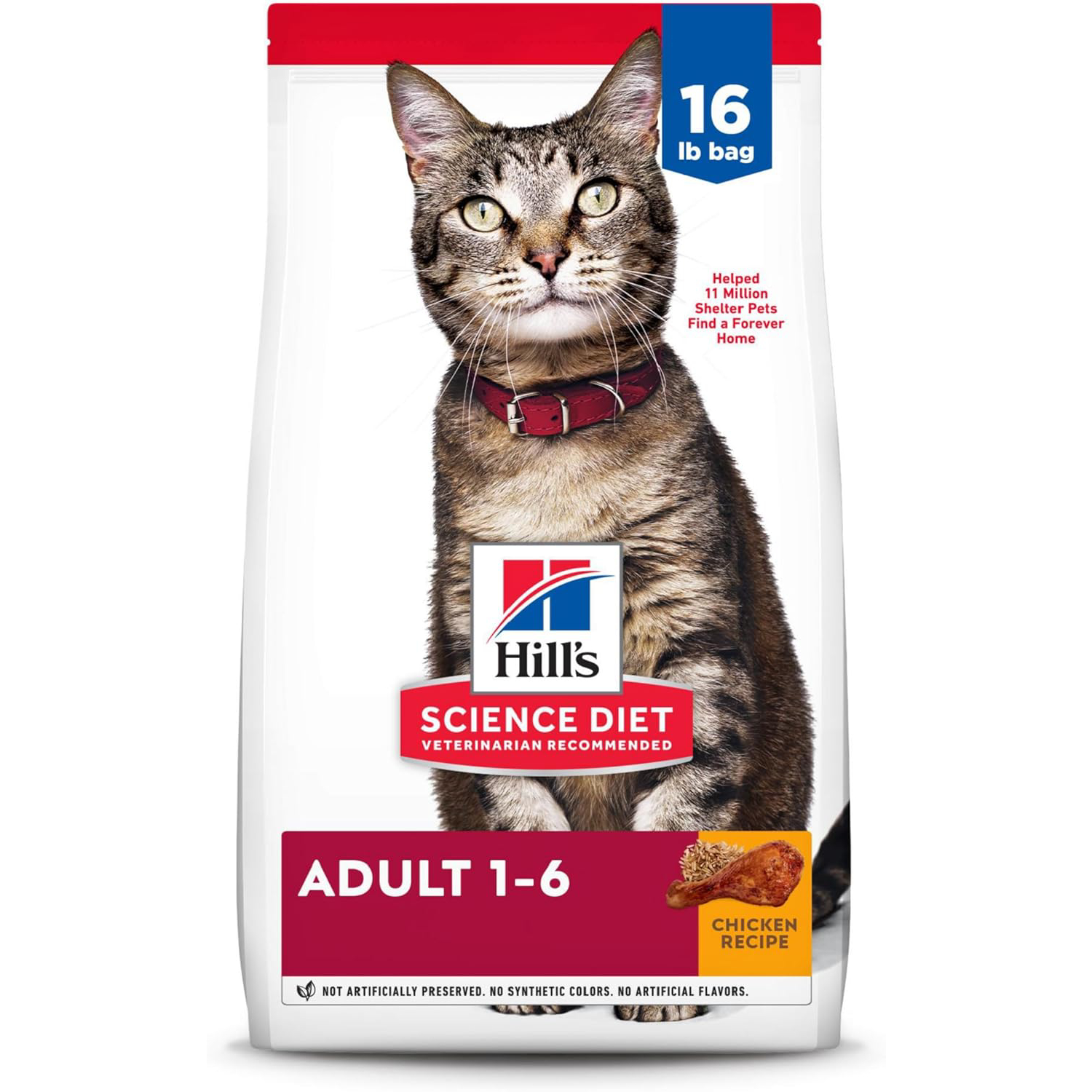 Hill’s Science Diet Dry Cat Food