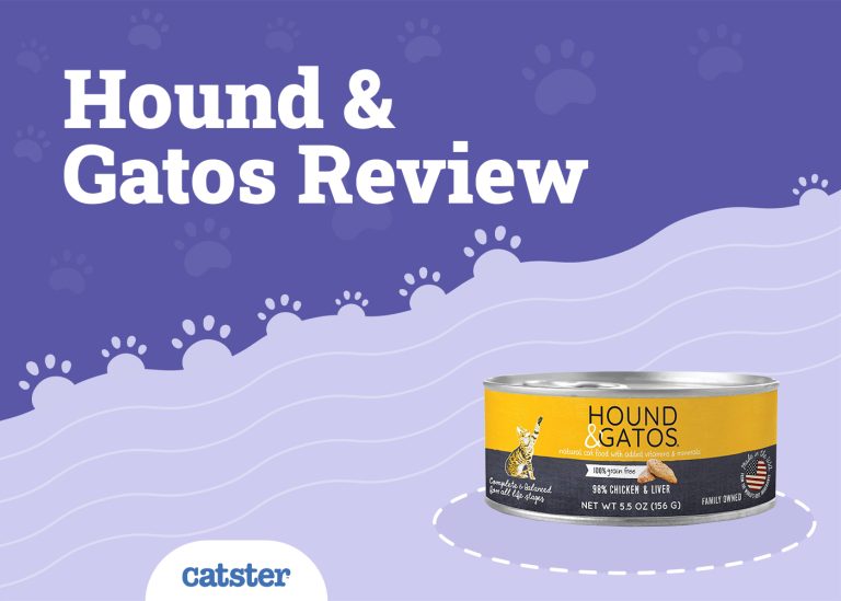 Hound and Gatos Cat Food Review 2024 Recalls, Pros & Cons Catster