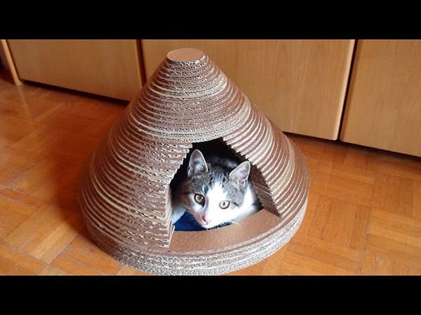 How To Build a Cardboard Cat House - DIY Home Tutorial - Guidecentral