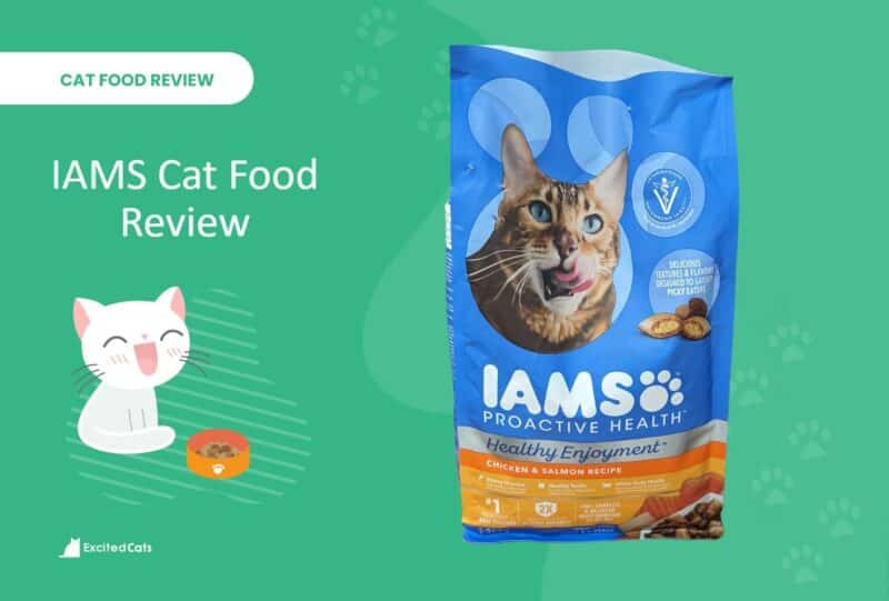 IAMS Cat Food Review SAPR Featured image