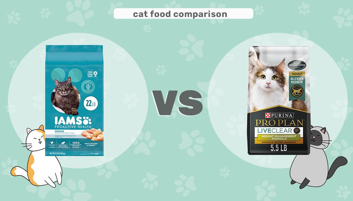 IAMS vs Purina Cat Food
