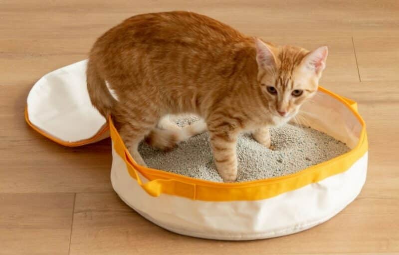 IRIS Travel Litter Pan