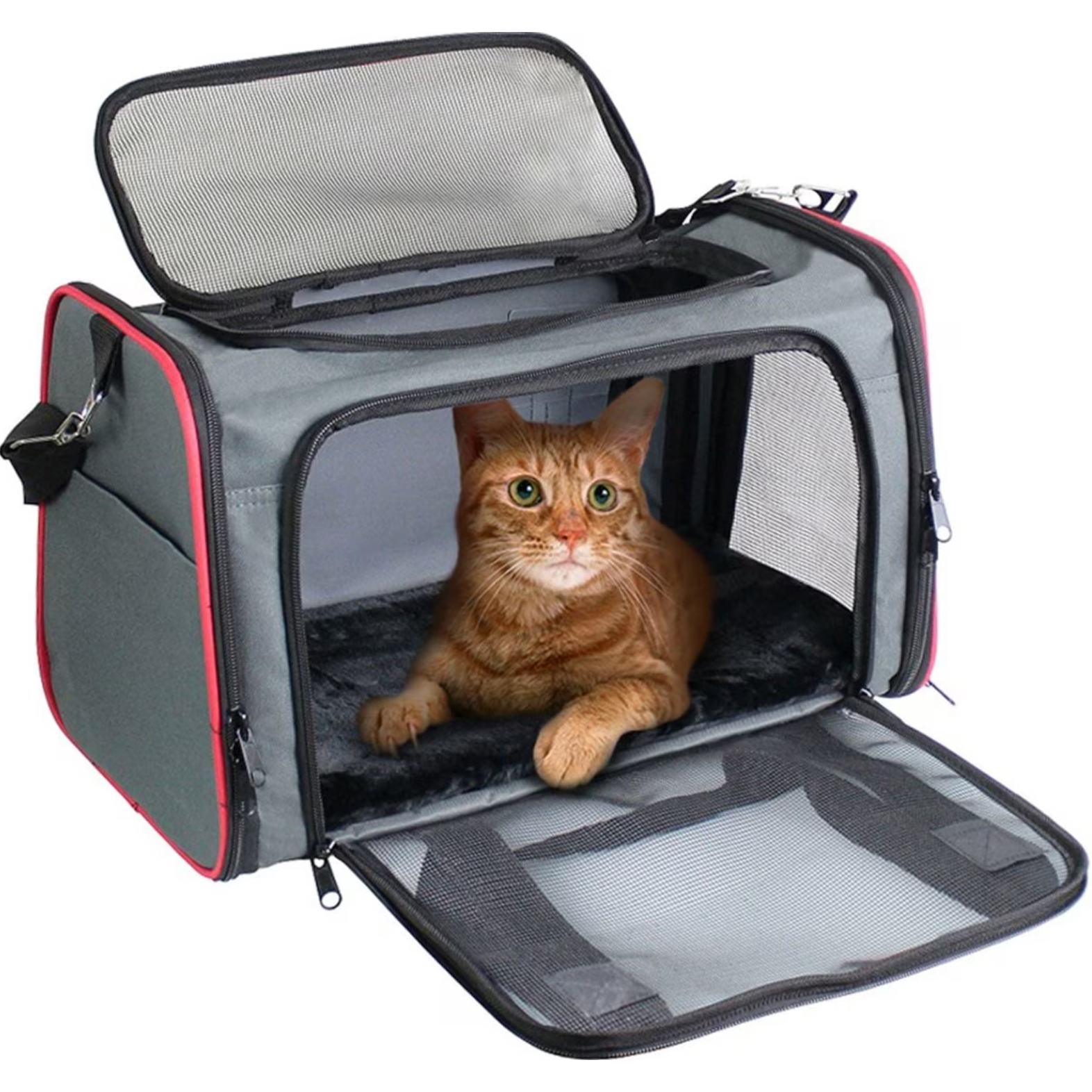 Jespet Soft-Sided Airline-Approved Travel Dog & Cat Carrier