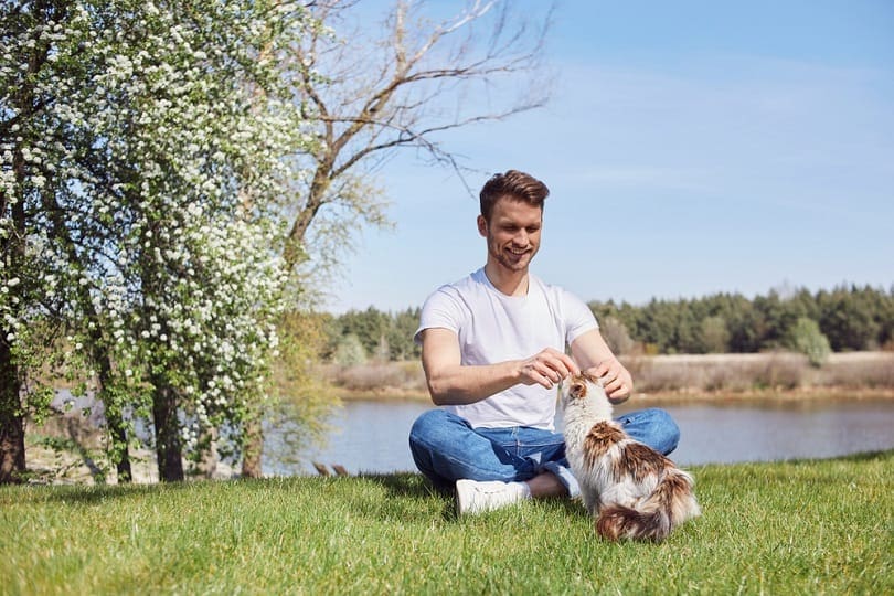 Joyful male touching his pleasant cat while having a rest on grass