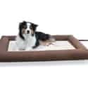 K&H Pet Products Outdoor Cat Bed