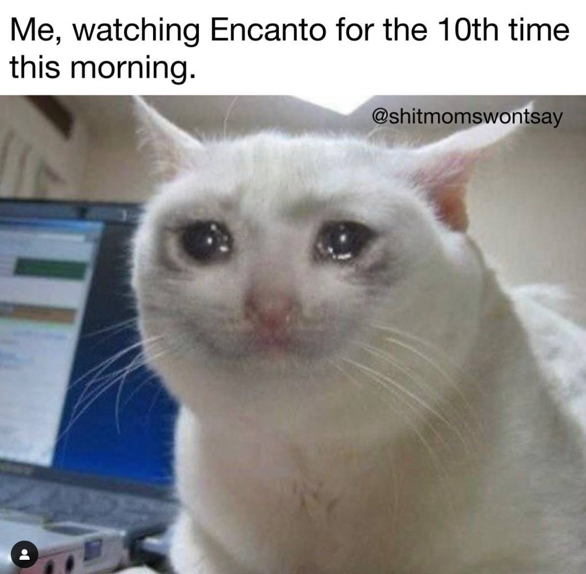 Kids Movies Make Us Cry Cat