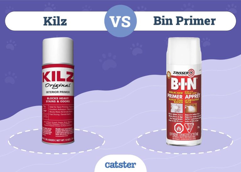 Kilz vs. Bin Primer for Cat Urine 2024 Comparison Catster