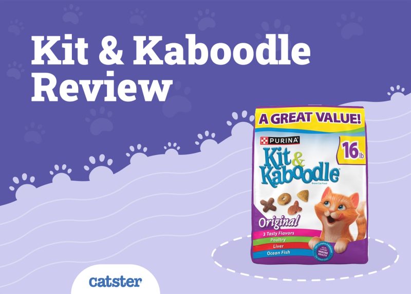 Kit & Kaboodle Cat Food Review