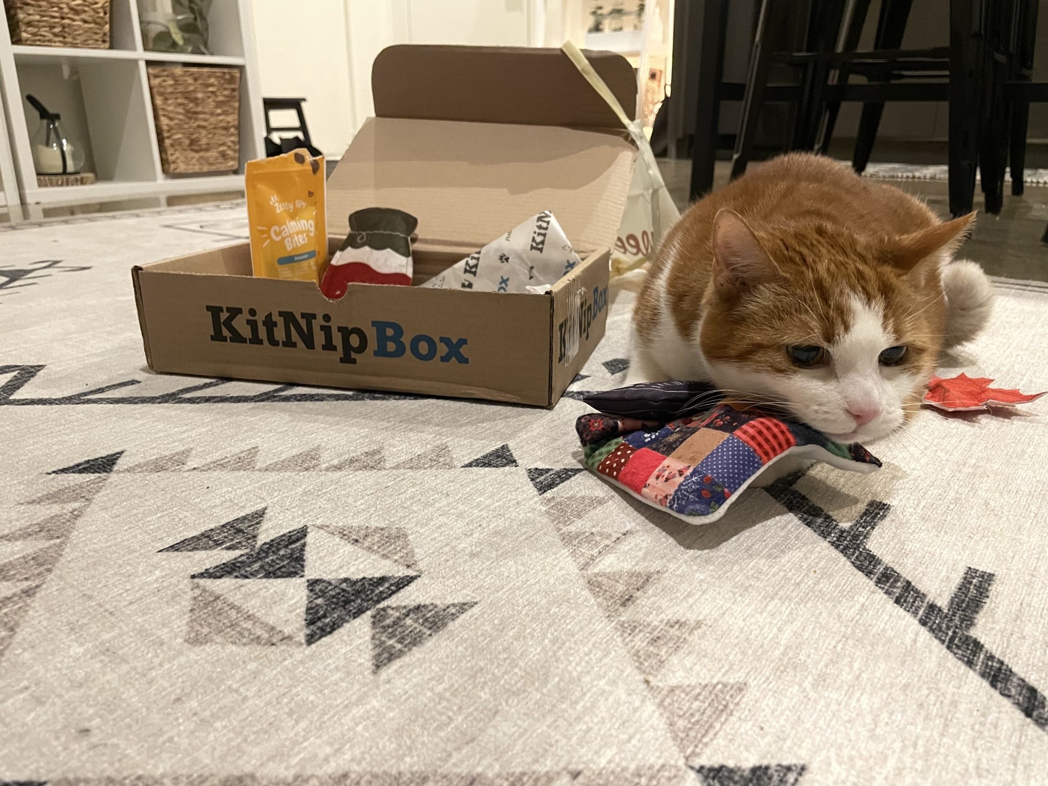 Kit Nip Box - SAPR
