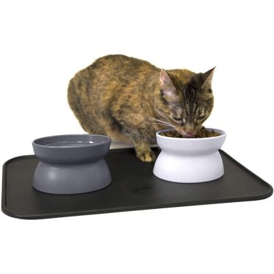 Kitty City Raised Cat Bowl