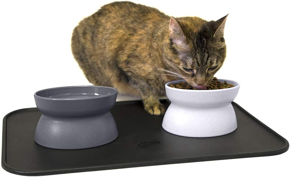 Kitty City Raised Cat Food Bowl Collection_Stress Free Pet Feeder and Waterer and Slow Feed Bowls