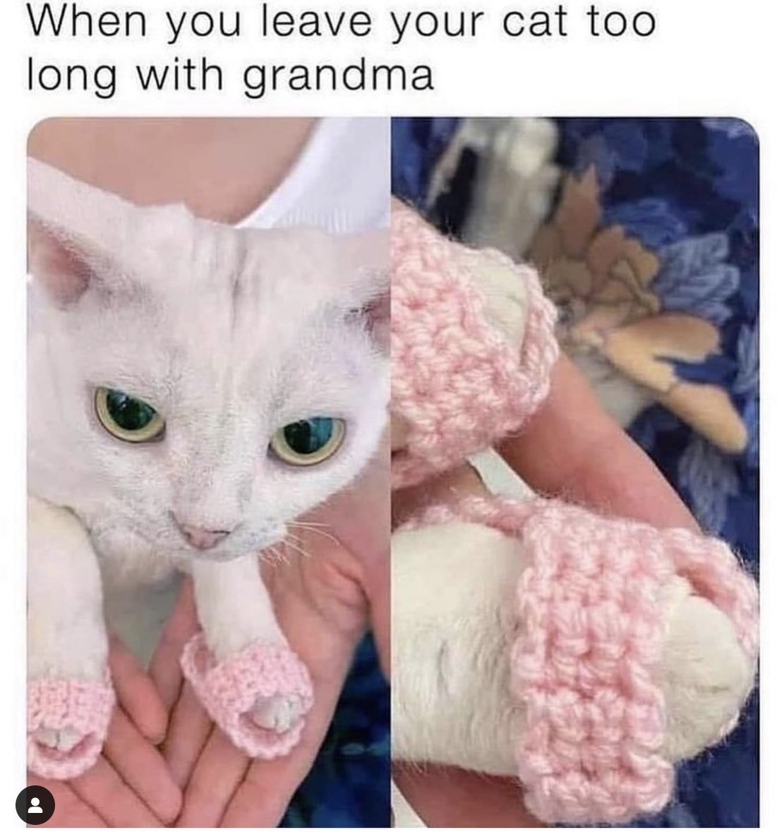 Knittin’ Mittens