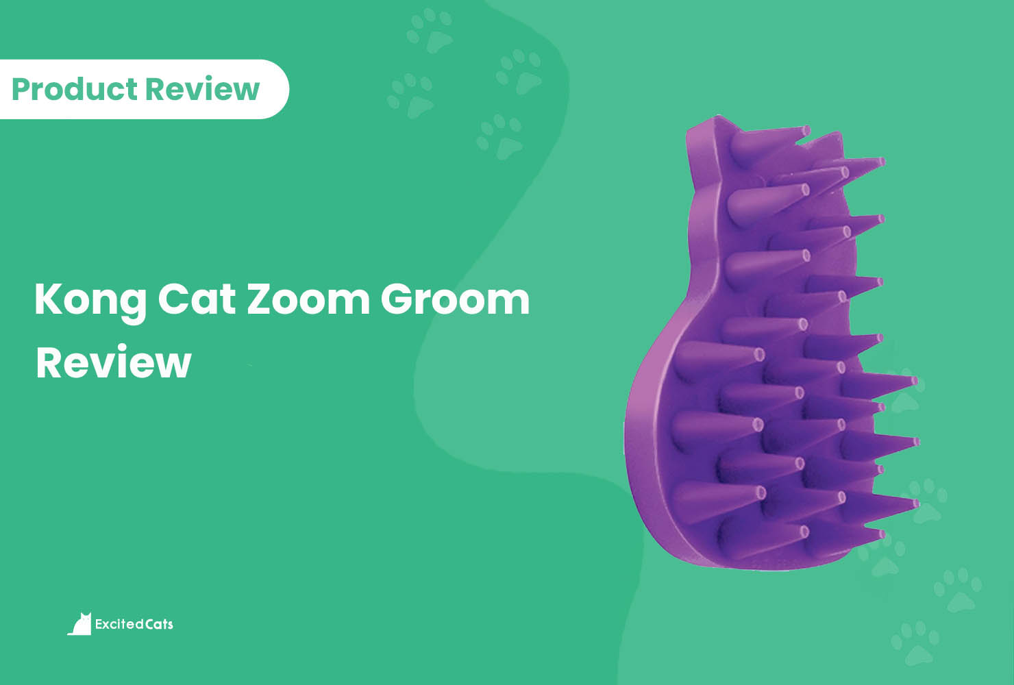 Kong Cat Zoom Groom Review