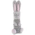 Leaps & Bounds Little Thrills Bunny Kicker Toy