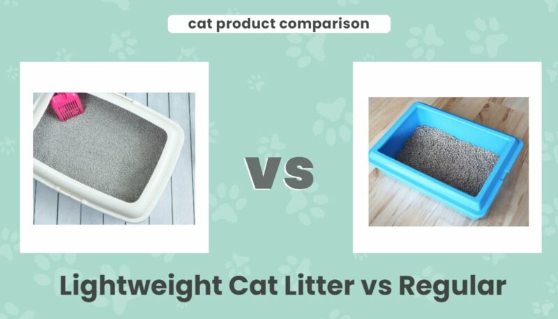 Lightweight cat litter vs regular