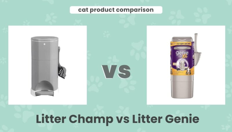 Litter champ vs litter genie