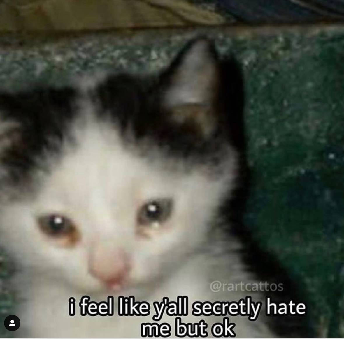 Low Self-Esteem Cat