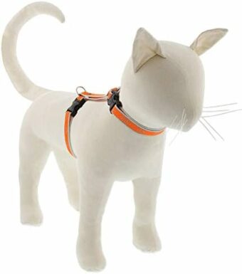 Lupine Reflective Cat and Small Pet H-Style Harness