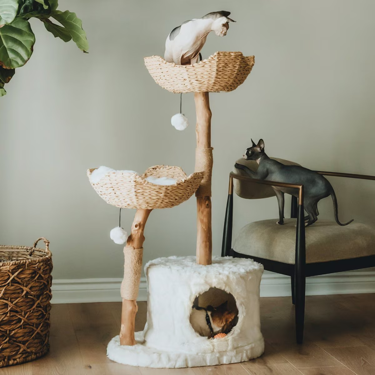Mau Lifestyle Cento 46-in Modern Wooden Cat Tree & Condo