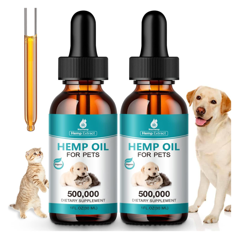 Fresh Look at 8 Best Cbd Oils For Cats 2026 Reviews Top Picks