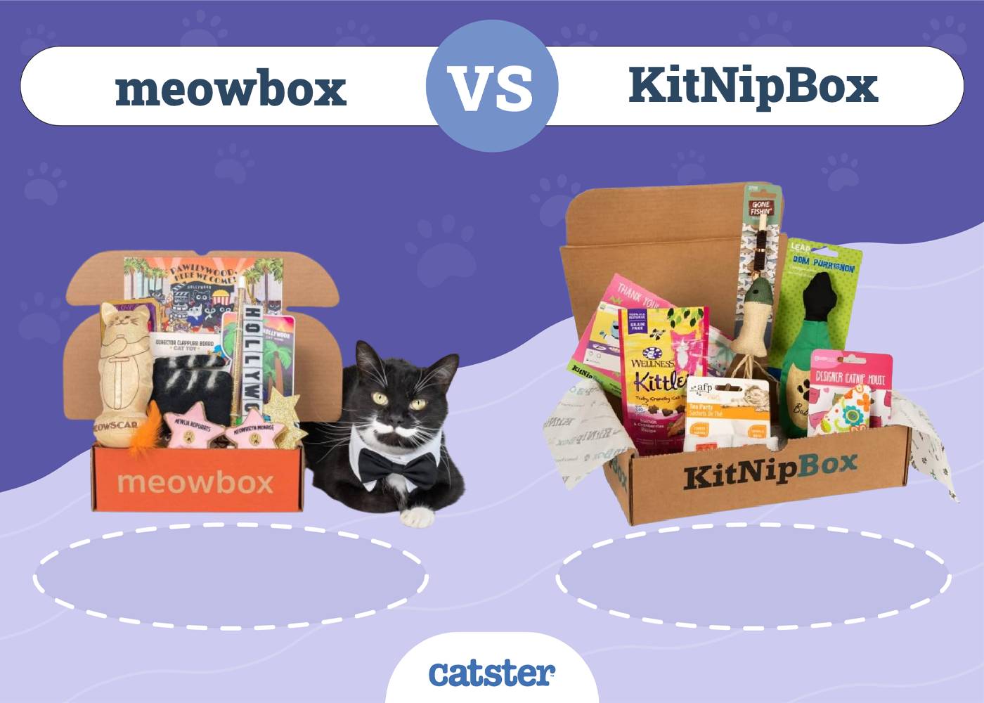 Meowbox VS KitNipBox