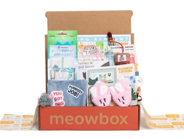 Meowbox subscription what's in the box