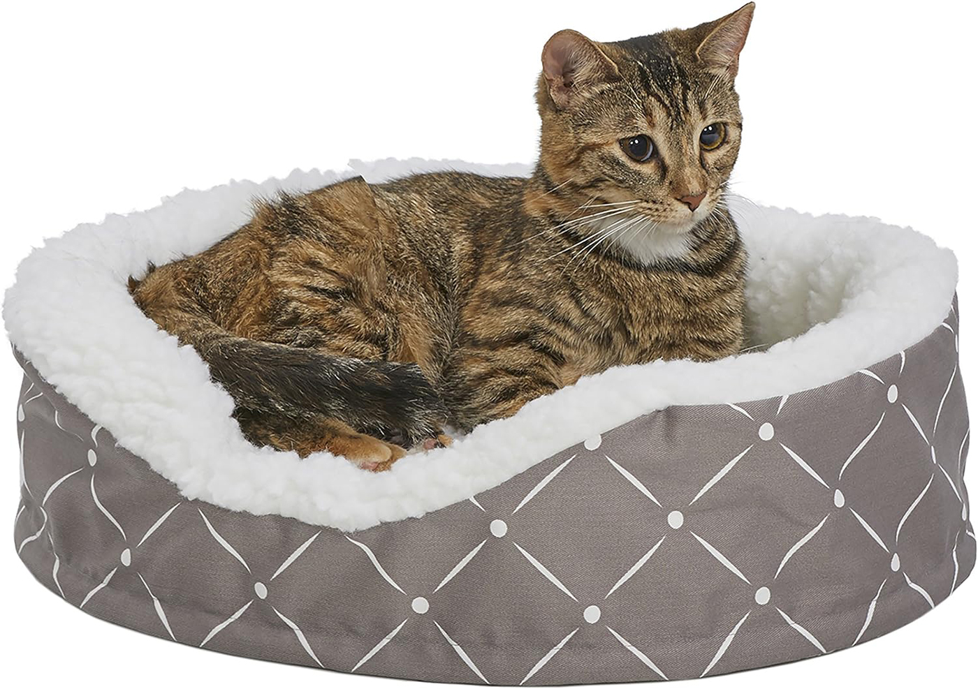 MidWest Homes for Pets CU20MRD Couture Orthopedic Cradle Pet Bed