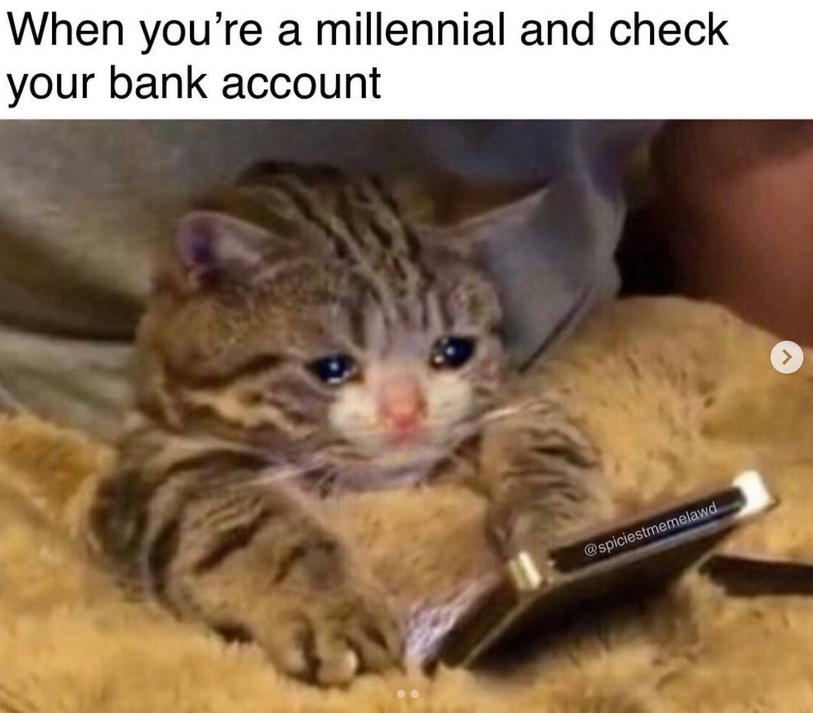 Millennial Kitty