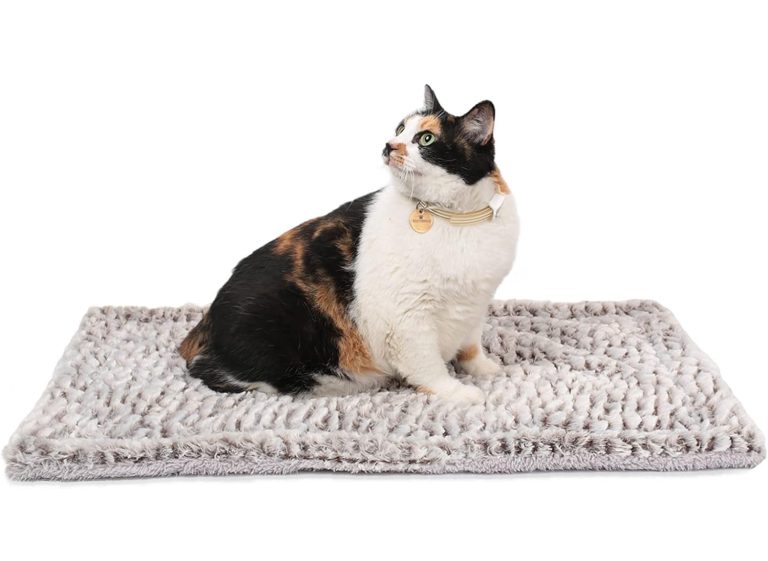 9 Best Outdoor Cat Beds in 2024 Reviews & Top Picks Catster