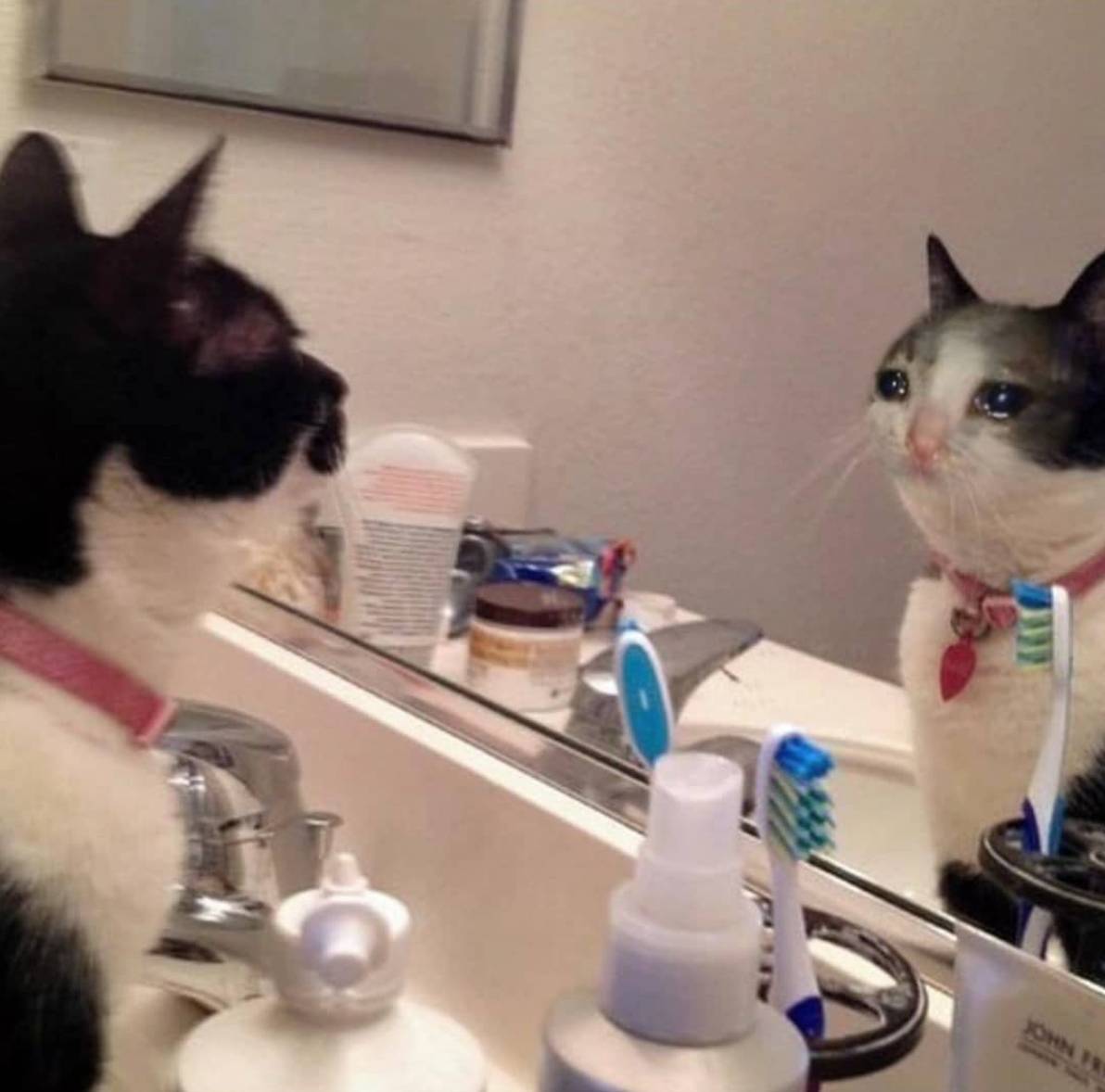 Morning Pep Talk