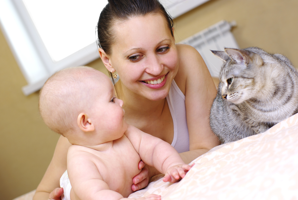 Mother and baby with cat on the bed