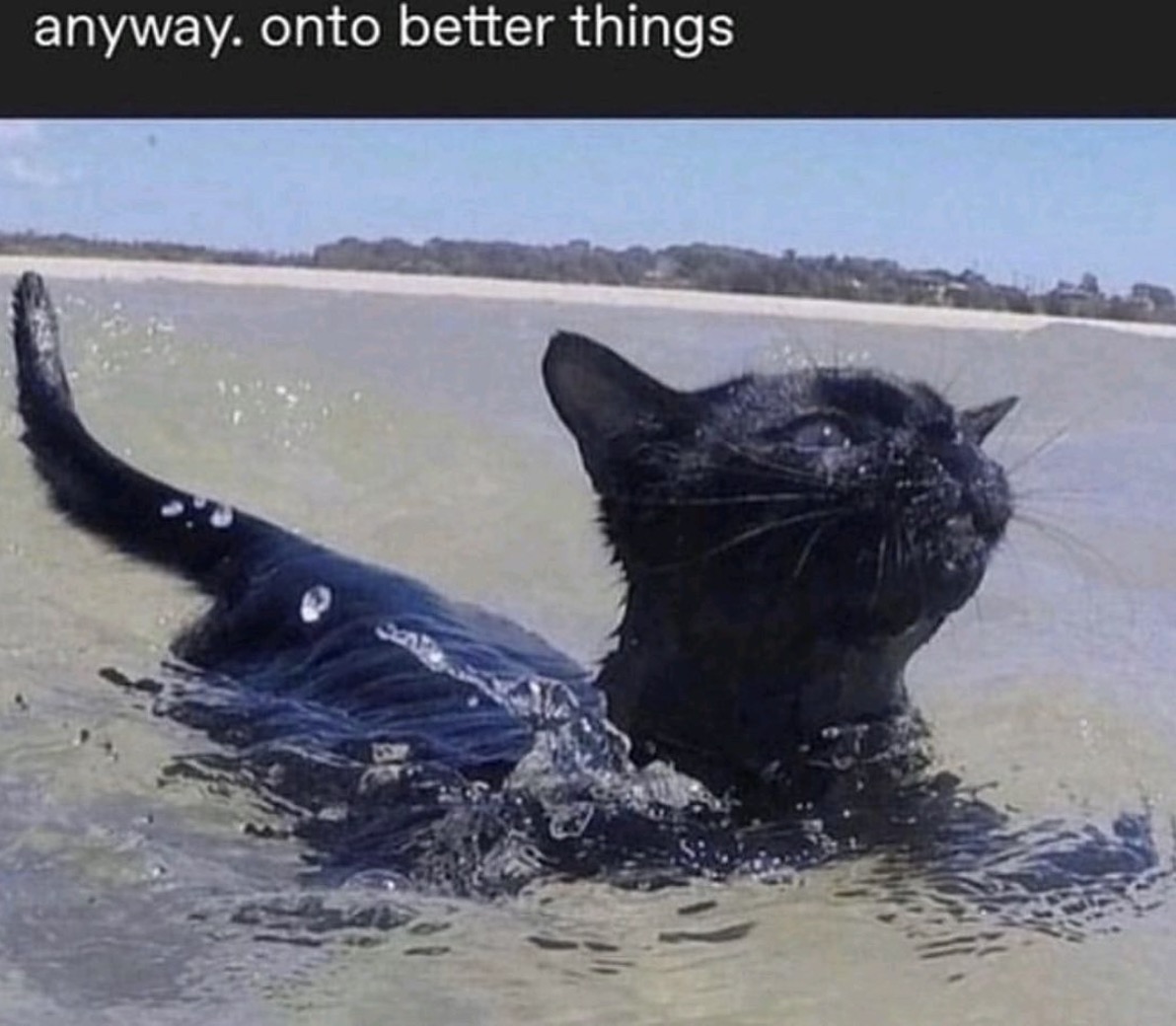 Move It Along