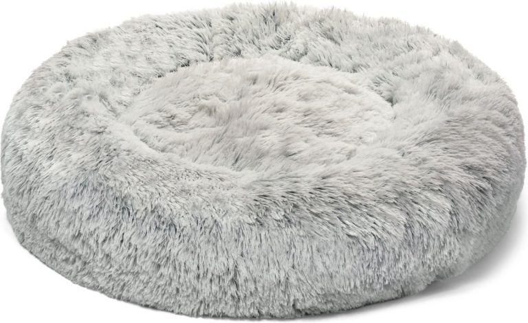 View of 10 Best Cat Beds for Older Cats in 2026 - Reviews & Top Picks - Catster
