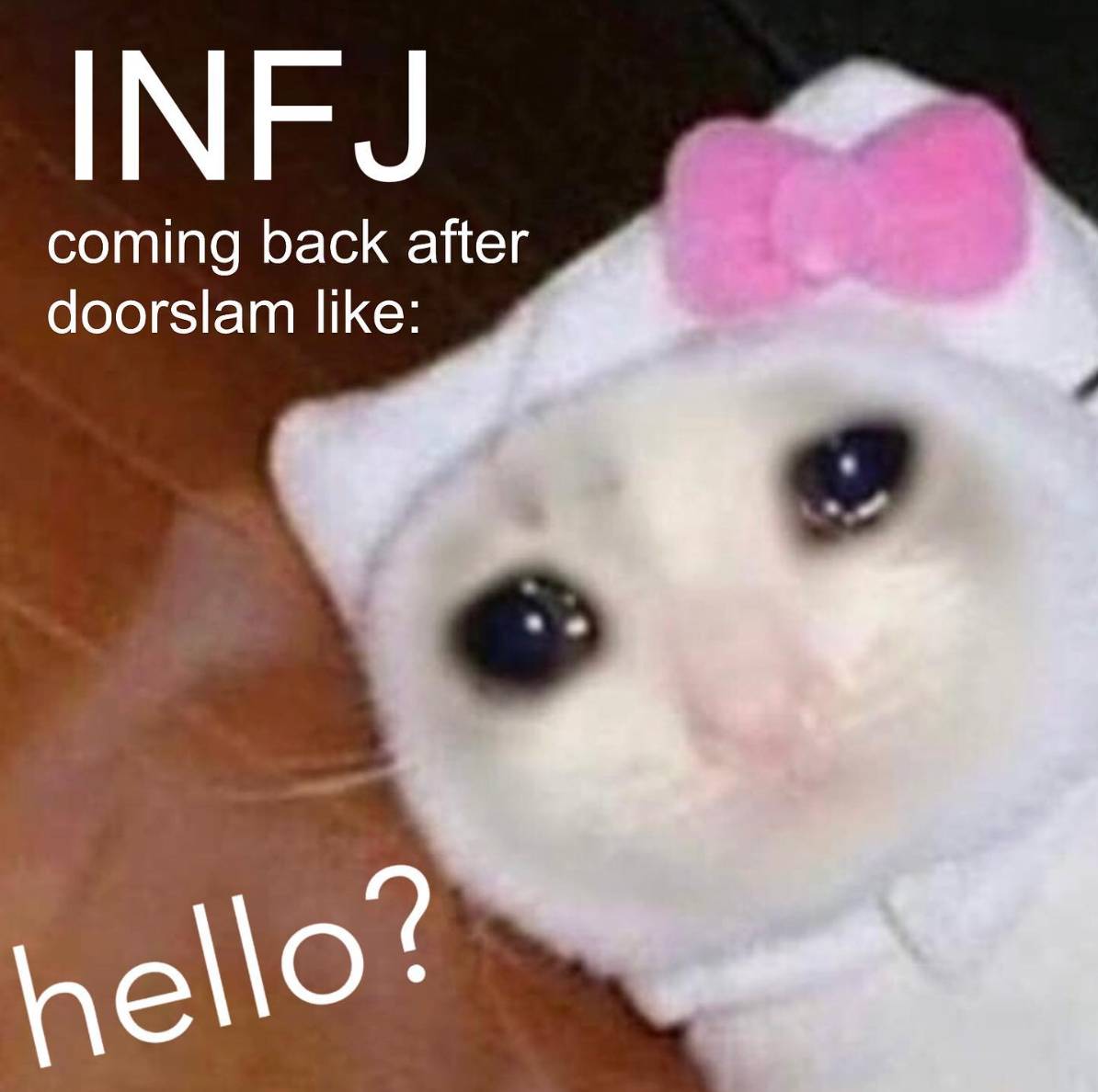 Myers-Briggs Cat