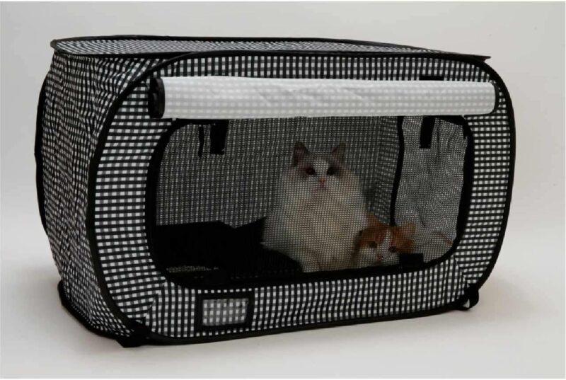 Large Cat Carrier for 2 Cats, Oeko-Tex Certified Soft Side Pet Carrier for  Cat