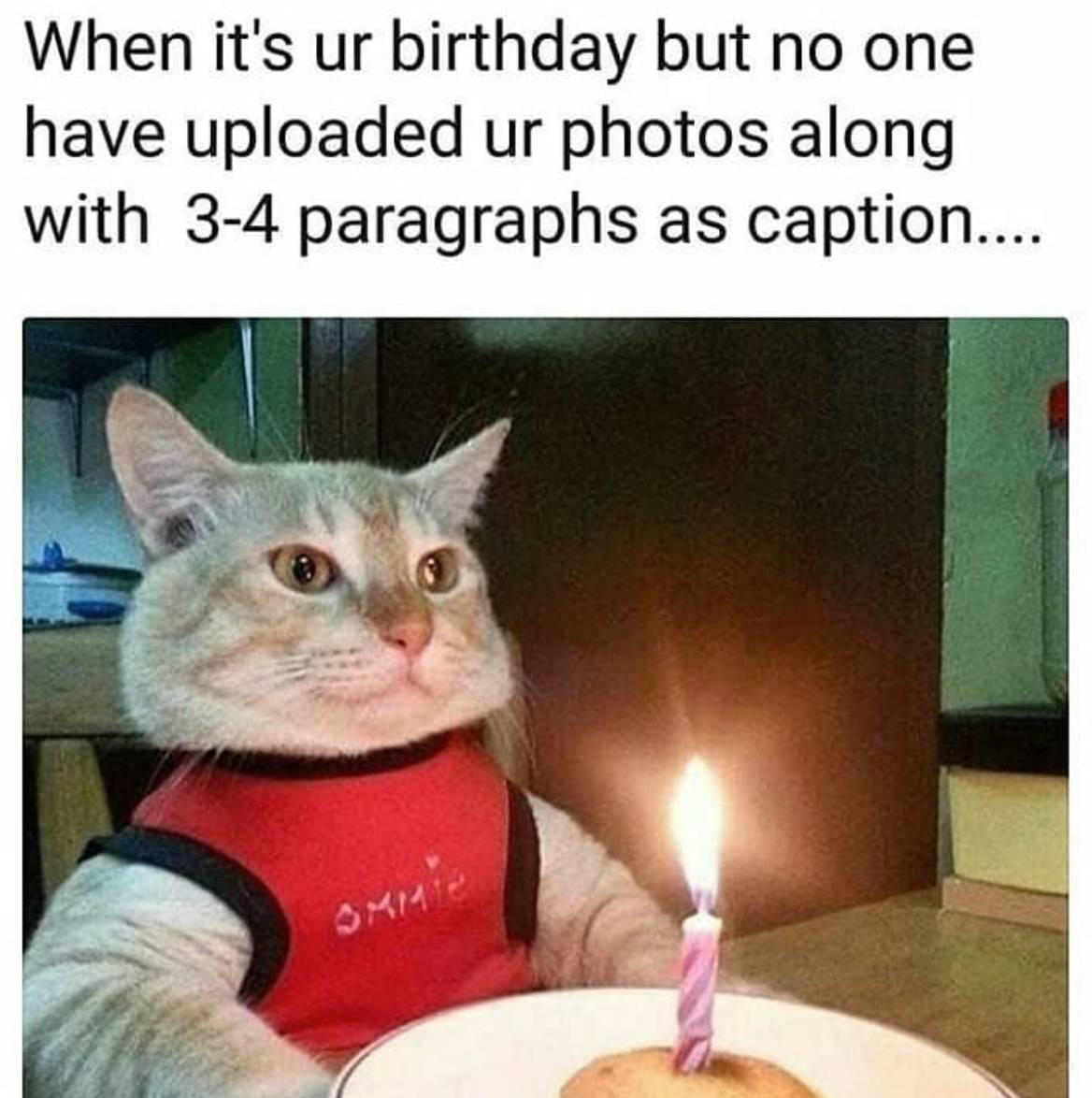 No Birthday Photos