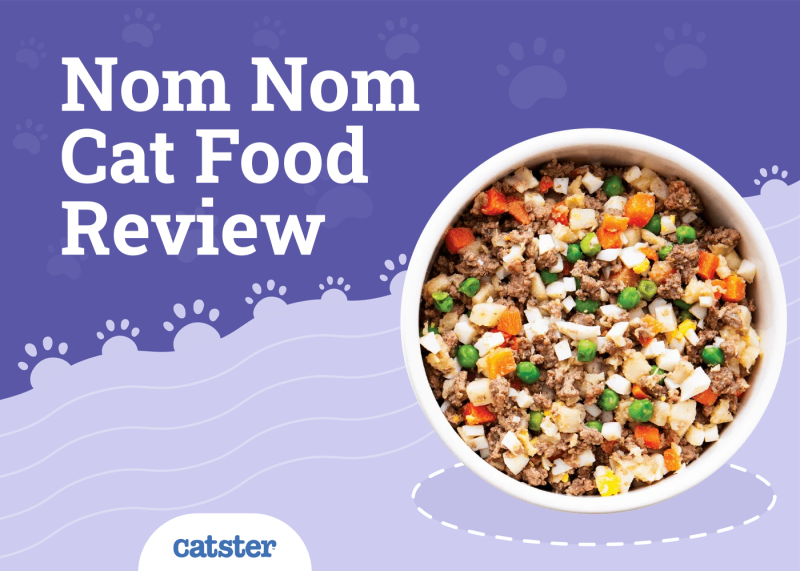 Nom Nom Cat Food