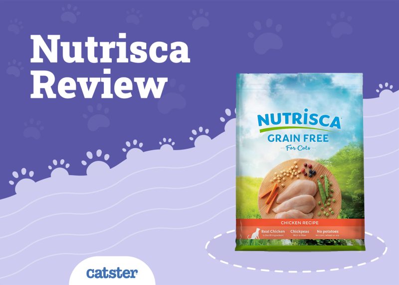Nutrisca Cat Food Review