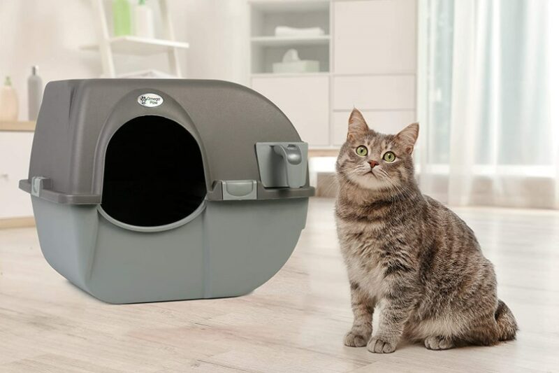 8 Best Cat Litter Mats of 2024 - Reviewed