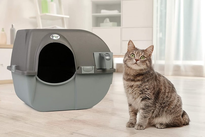 The 5 Best Cat Litter Boxes of 2024