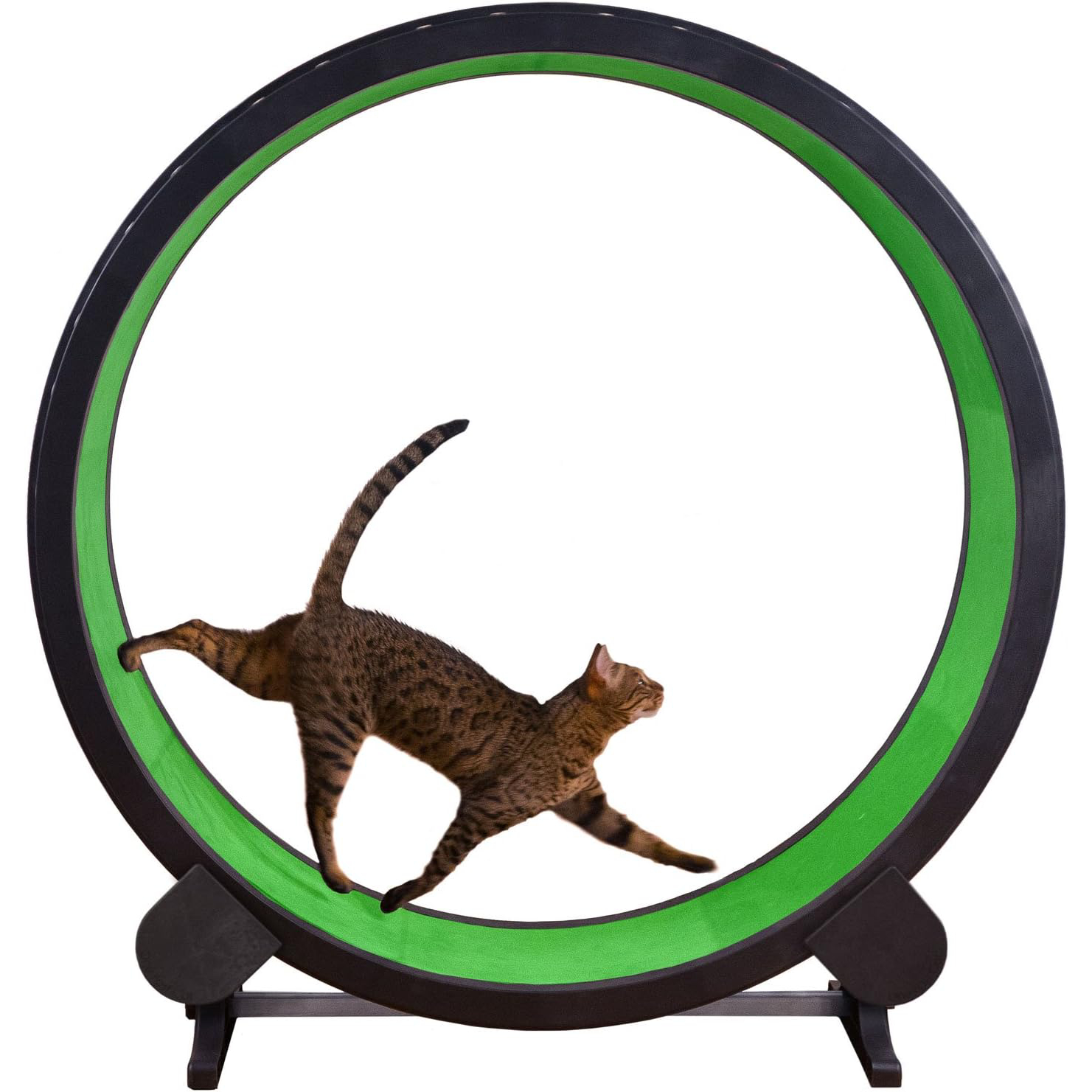One Fast Cat Exercise Wheel New