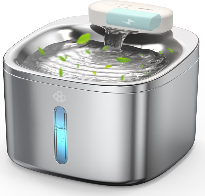 7 Best Spill-Proof Cat Water Bowls in 2026 - Reviews & Top Picks - Catster