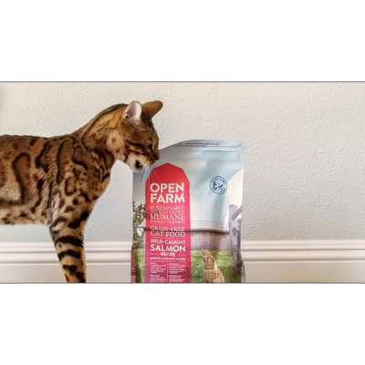 6 Best Fresh Cat Food Delivery Services in 2024 - Reviews & Top Picks