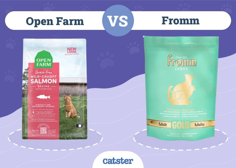 Open Farm VS Fromm