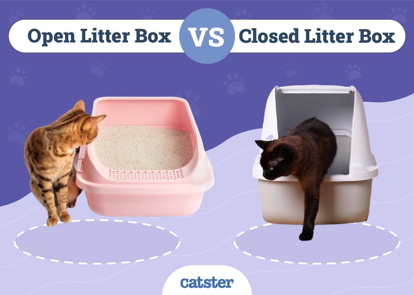 Open vs. Closed Litter Box Main Differences, Pros & Cons Catster