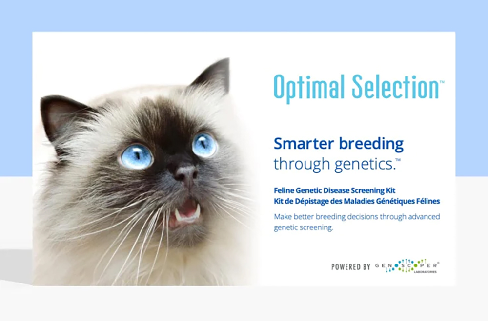 Optimal Selection™ Feline DNA Test Kit
